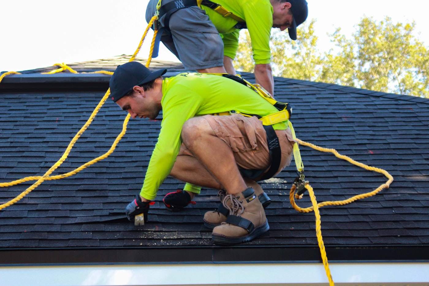 Two roofers in safety harnesses installing asphalt shingles