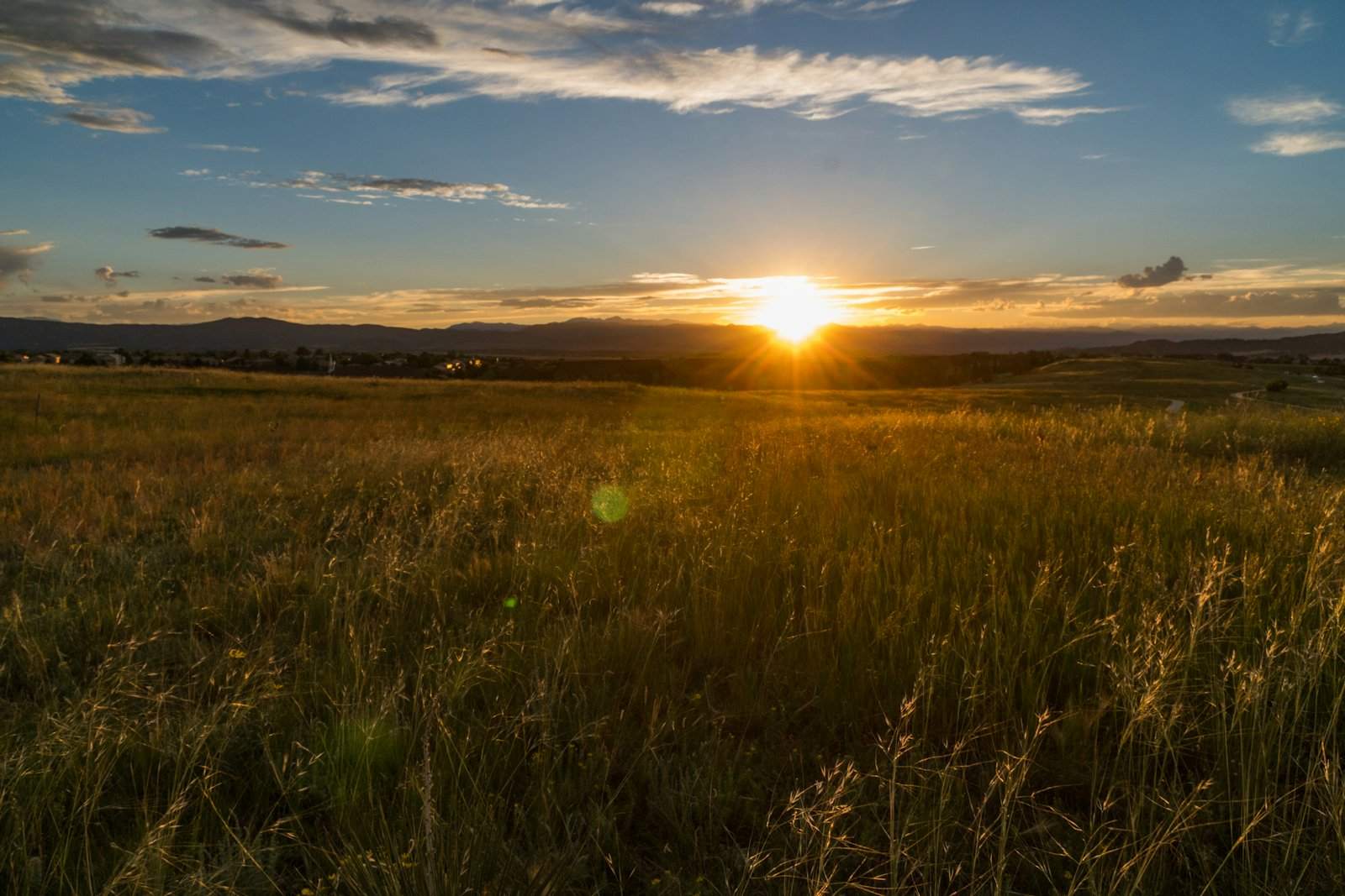 Sunset over a golden meadow and rooftops in Castle Rock, Colorado