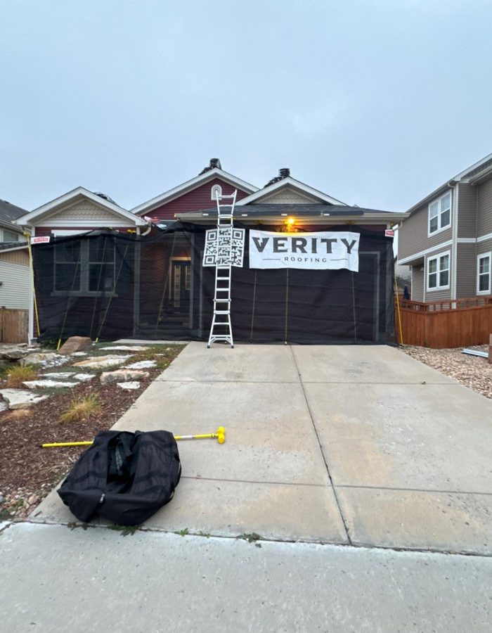 down-net_http20260315-162-epypzl