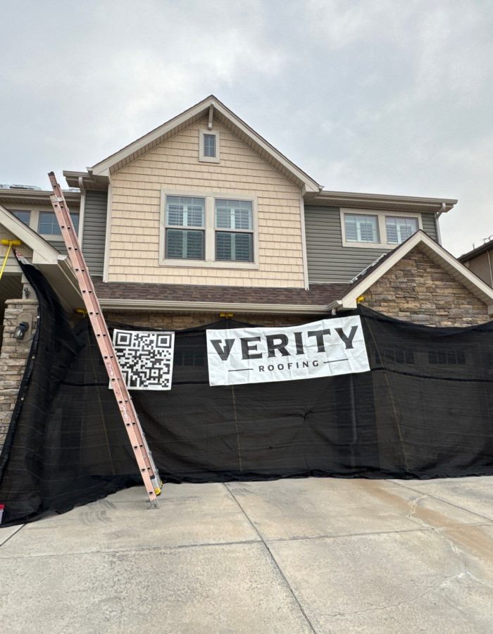 down-net_http20260315-181-chncew