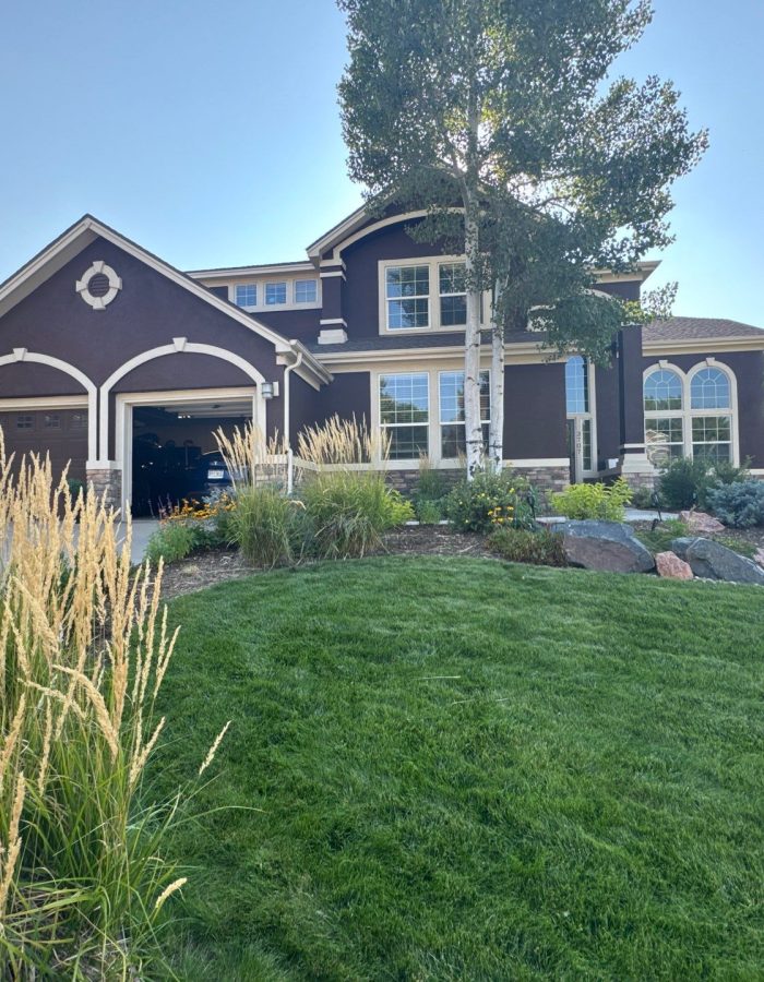 Roofing Services in Castle Rock